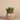 Greenery-Artificial Santa Fe Aloe Arrangement-Bloomr