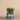 Greenery-Artificial Santa Fe Aloe Arrangement-Bloomr