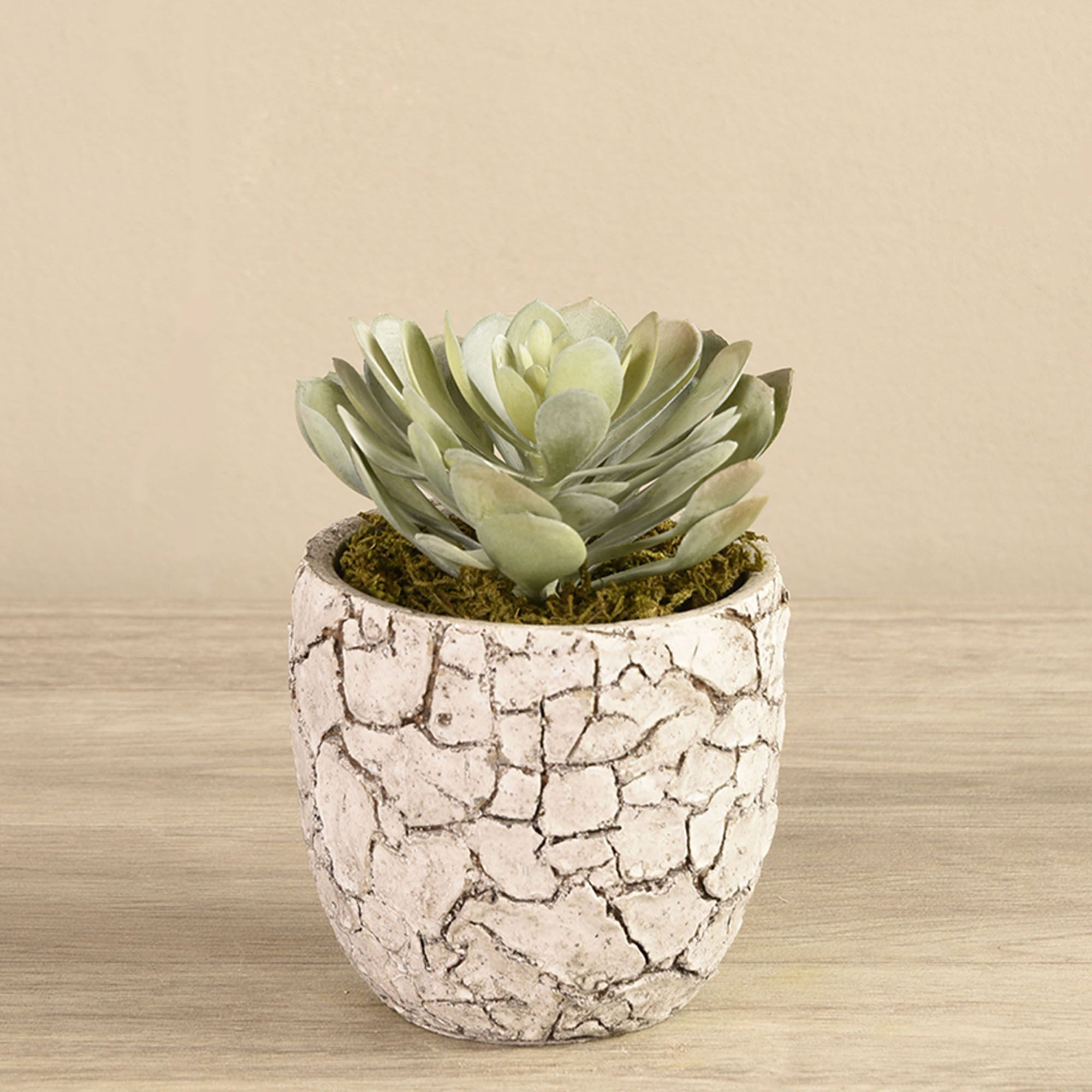 best fake succulents Best Faux Succulents Plants Fake Succulents Artificial Succulents
