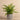 Greenery-Artificial Potted Fern-Bloomr
