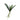Greenery-Orchid Leaf-Bloomr
