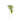 Greenery-Philodendron Large-Bloomr