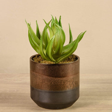 Greenery-Artificial Potted Aloe-Bloomr