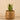 Greenery-Artificial Potted Aloe-Bloomr