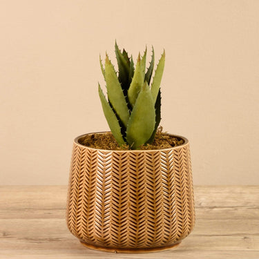 Greenery-Artificial Potted Aloe-Bloomr