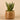 Greenery-Artificial Potted Aloe-Bloomr