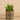 Greenery-Artificial Potted Aloe (Discontinued)-Bloomr