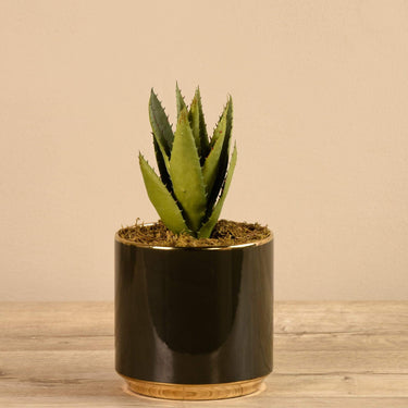 Greenery-Artificial Potted Aloe-Bloomr