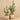 Greenery-Potted Cactus-Bloomr