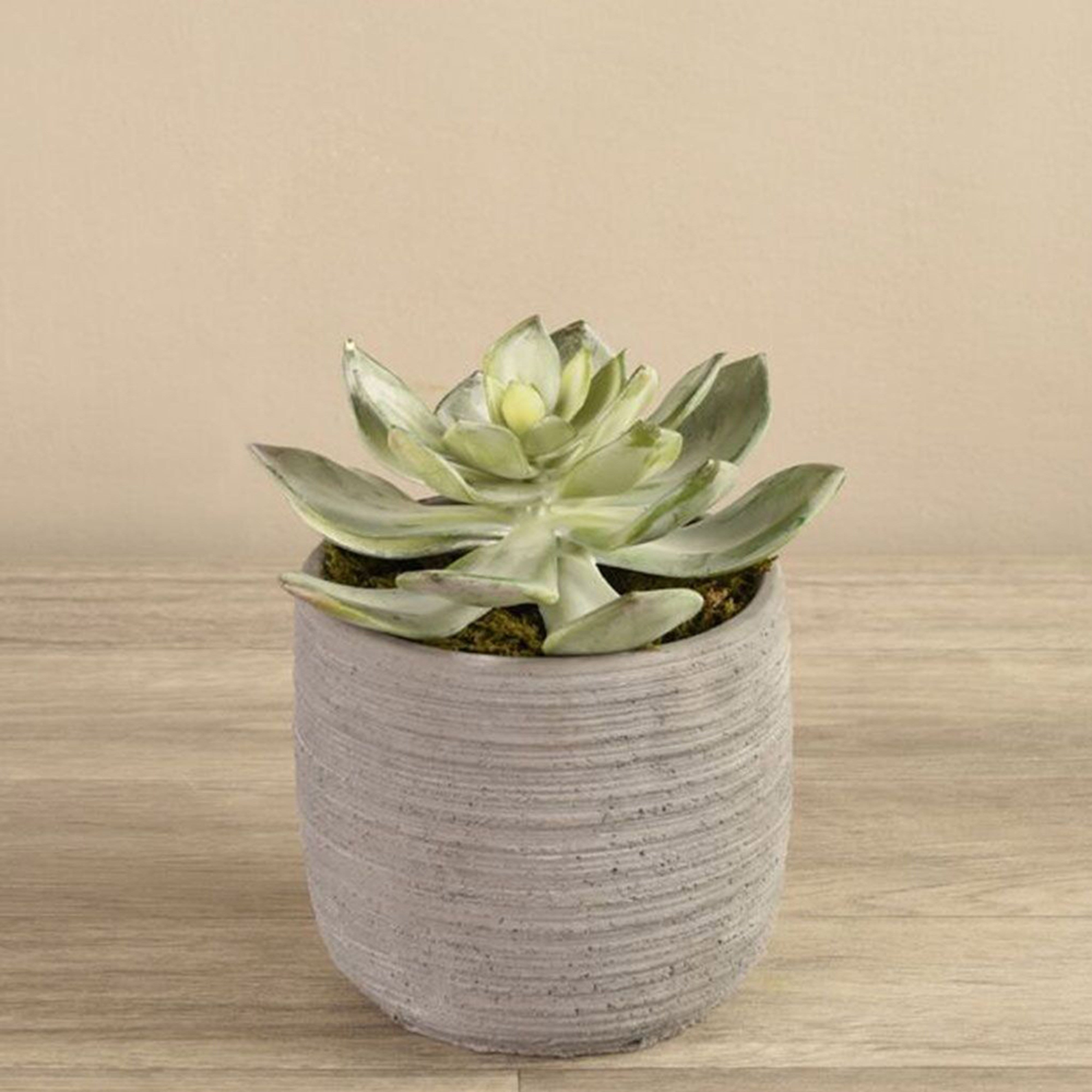 succulents dubai Best Faux Succulents Plants Fake Succulents Artificial Succulents