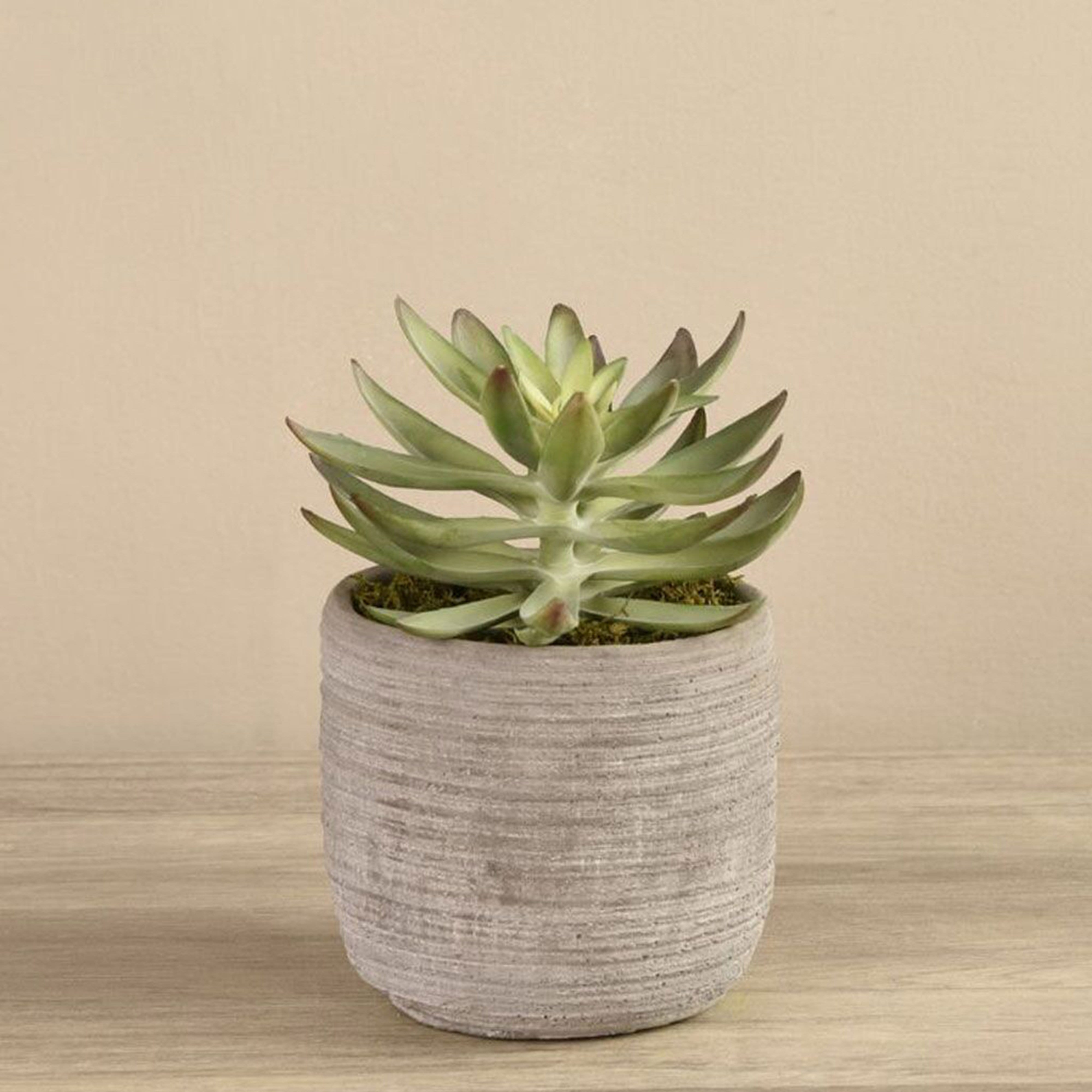 succulent plants dubai Best Faux Succulents Plants Fake Succulents Artificial Succulents