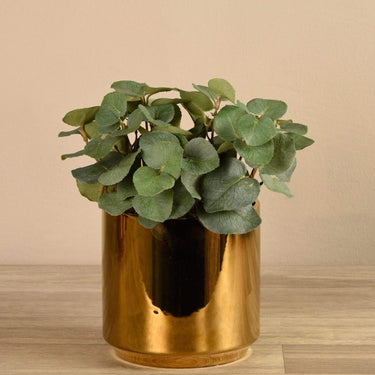 Greenery-Artificial Potted Eucalyptus-Bloomr