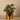 Greenery-Artificial Potted Ligularia-Bloomr
