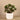 Greenery-Artificial Potted Ligularia-Bloomr