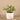 Greenery-Artificial Potted Silver Falls-Bloomr