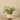 Greenery-Potted Silver Fall Plant-Bloomr