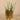 Greenery-Artificial Potted Succulent-Bloomr
