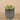 Greenery-Artificial Potted Succulent-Bloomr