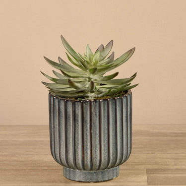 Greenery-Potted Succulent-Bloomr