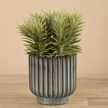 Greenery-Potted Succulent-Bloomr