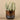 Greenery-Artificial Potted Succulent-Bloomr