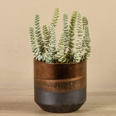 Greenery-Artificial Potted Succulent-Bloomr