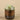 Greenery-Artificial Potted Succulent-Bloomr