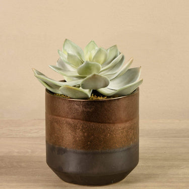 Greenery-Artificial Potted Succulent-Bloomr