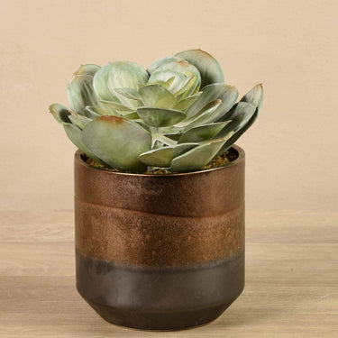 Greenery-Artificial Potted Succulent-Bloomr