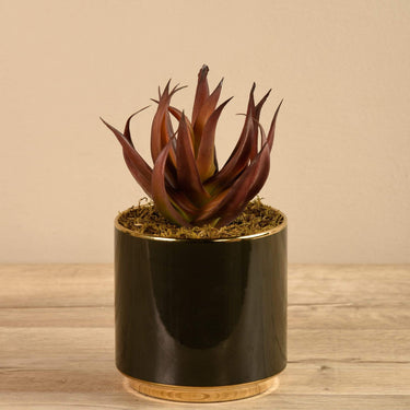 Greenery-Artificial Potted Succulent-Bloomr