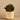 Greenery-Artificial Potted Succulent-Bloomr