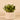 Greenery-Artificial Potted Succulent-Bloomr