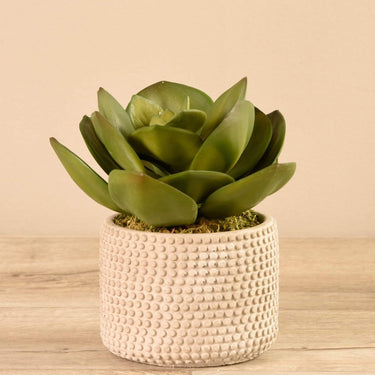 Greenery-Artificial Potted Succulent-Bloomr