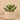 Greenery-Artificial Potted Succulent-Bloomr