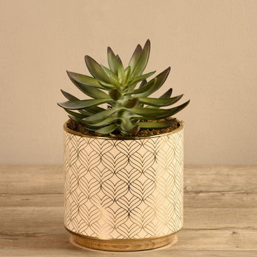 Greenery-Artificial Potted Succulent-Bloomr