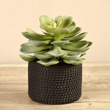 Greenery-Artificial Potted Succulent-Bloomr