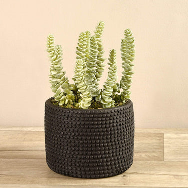 Greenery-Artificial Potted Succulent-Bloomr