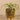 Greenery-Artificial Potted Tillandsia-Bloomr
