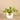 Greenery-Potted Vanilla Leaf-Bloomr