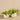 Greenery-Potted Vanilla Leaf Plant-Bloomr