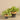Greenery-Potted Vanilla Leaf Plant-Bloomr