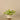 Greenery-Potted Vanilla Leaf Plant-Bloomr