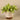 Greenery-Potted Vanilla Leaf Plant-Bloomr