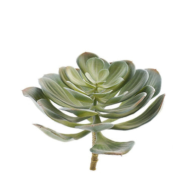 Greenery-Single Stem Succulent-Bloomr