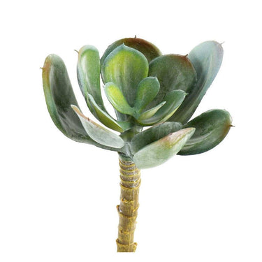 Greenery-Single Stem Succulent-Bloomr