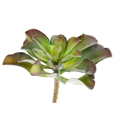 Greenery-Single Stem Succulent-Bloomr