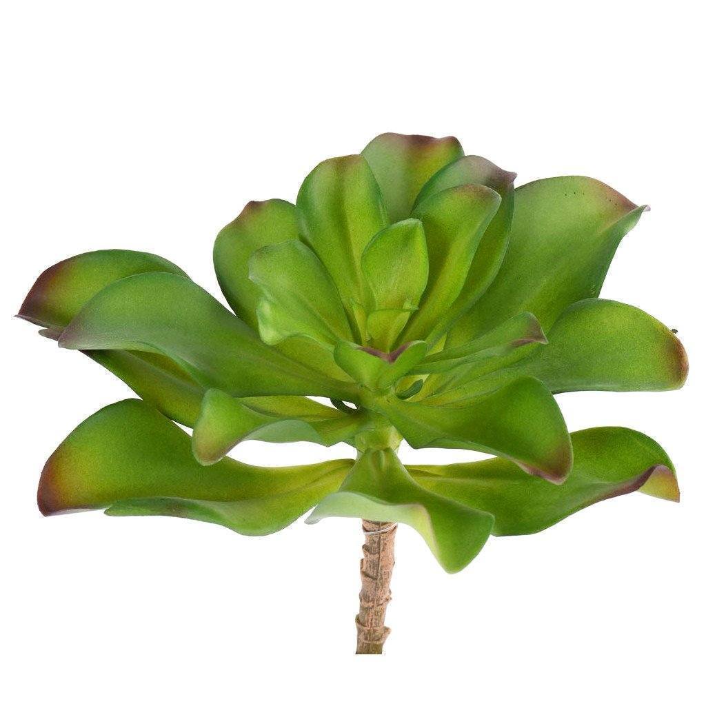 single stem succulents Premium Faux Single Stem Succulents You'll Love