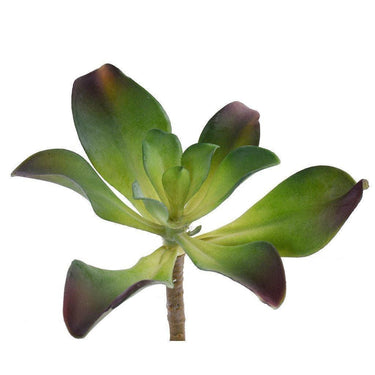 Greenery-Single Stem Succulent-Bloomr