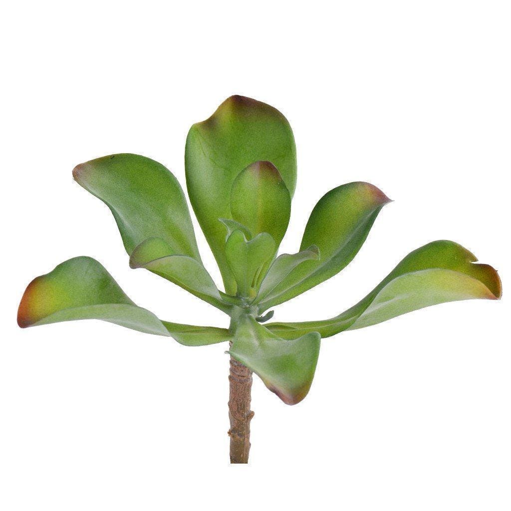 single stem succulents Premium Faux Single Stem Succulents You'll Love