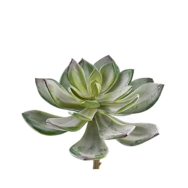 Greenery-Single Stem Succulent-Bloomr